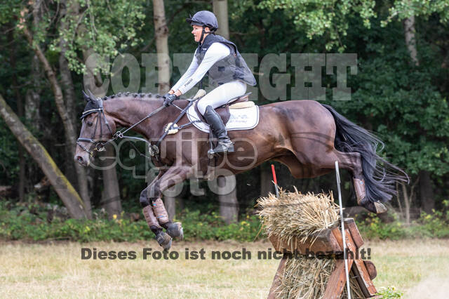 Late-Entry Vielseitigkeit Hamminkeln/Wesel (01.+02.08.2020)