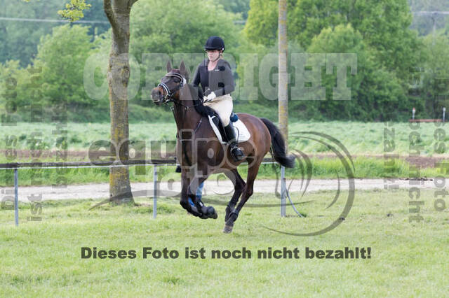 Vielseitigkeitsturnier RuFV Rheurdt