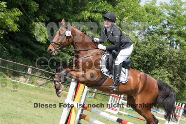 Vielseitigkeitsturnier ZRuFV von Lützow Hamminkeln