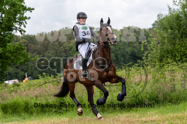 Westerstede Horse Trials 2021