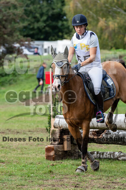 Vielseitigkeit RSV Wesel Obrighoven (26.+27.09.2020)