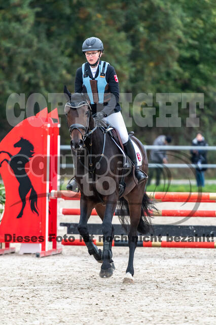 Goldene Schärpe 2020 - Pferde