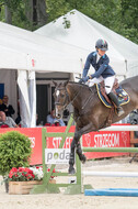 FEI European Championship