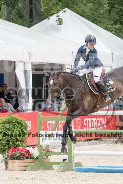 FEI European Championship