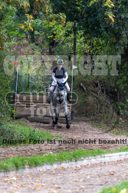 Goldene Schärpe 2020 - Pferde