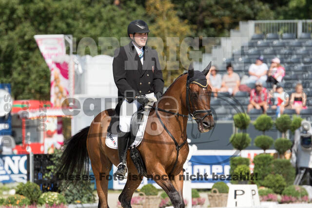 FEI European Championship Eventing 2019