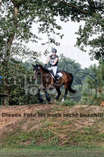 De Peelbergen (August 2020)