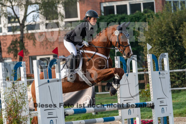 Goldene Schärpe 2020 - Pferde