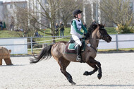 Eventing Langenfeld 2018