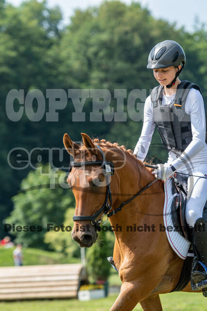 Goldene Schärpe 2021 - Ponys