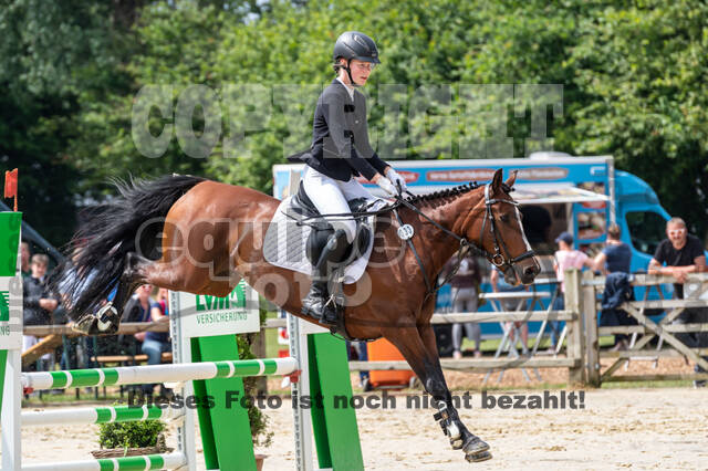 Goldene Schärpe 2021 - Ponys
