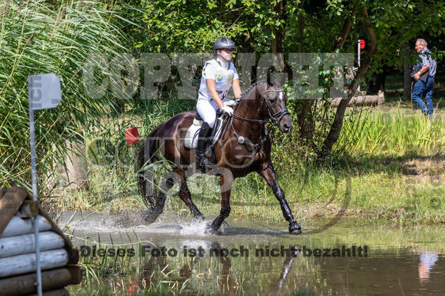 Late-Entry Vielseitigkeit Hamminkeln/Wesel (01.+02.08.2020)