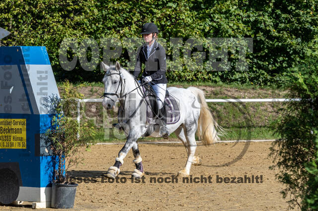 RFV Dinslaken-Hiesfeld (Herbstturnier)