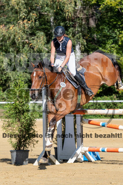 RFV Dinslaken-Hiesfeld (Herbstturnier)