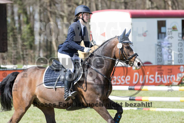 Frühjahrsvielseitigkeit RV Seydlitz Kamp