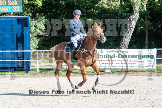 Landesturnier Rheinland, Vielseitigkeit, 22.+23.08.2020