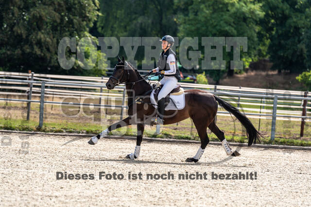 Late-Entry-Vielseitigkeit Langenfeld (11.+13./14.06.2020)