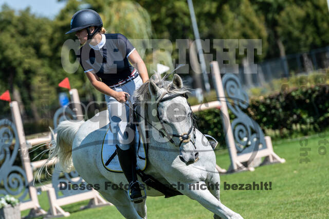 Kronenberg - De Peelbergen (August 2020)