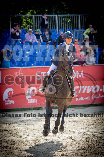 FEI European Championship