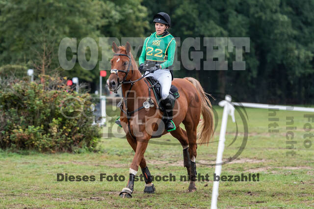 Vielseitigkeit RSV Wesel Obrighoven (26.+27.09.2020)