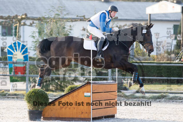 Eventing Langenfeld 2018