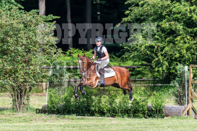 Goldene Schärpe 2021 - Ponys