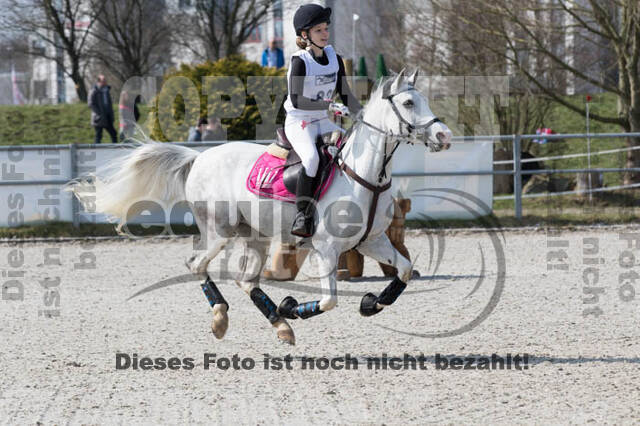 Eventing Langenfeld 2018