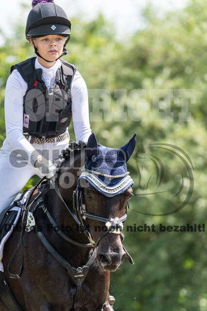 Goldene Schärpe 2021 - Ponys