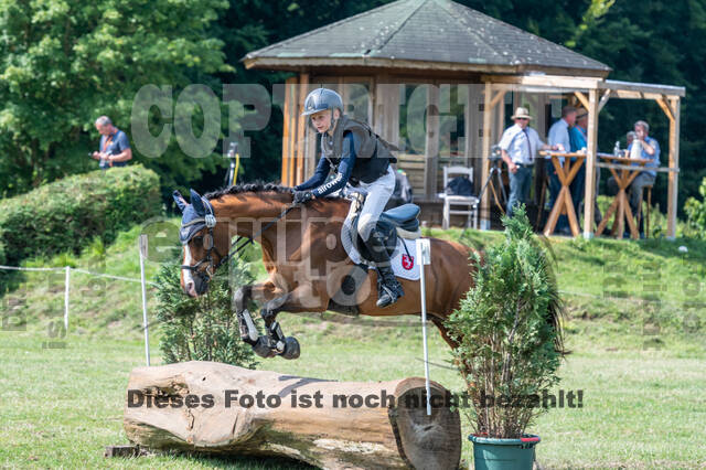 Goldene Schärpe 2021 - Ponys