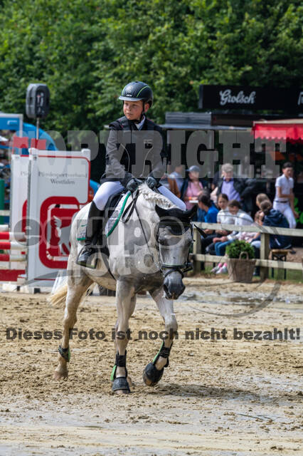 Goldene Schärpe 2021 - Ponys