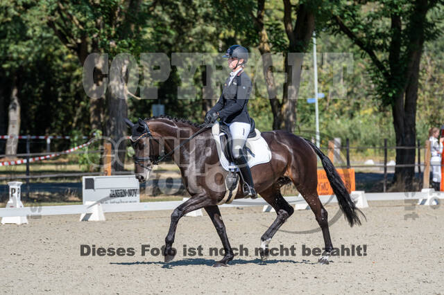 Kronenberg - De Peelbergen (August 2020)