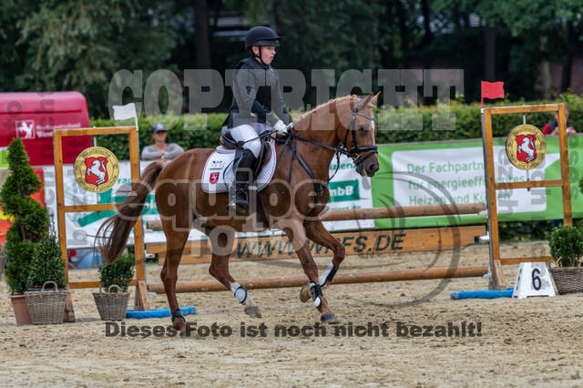 Goldene Schärpe 2021 - Ponys