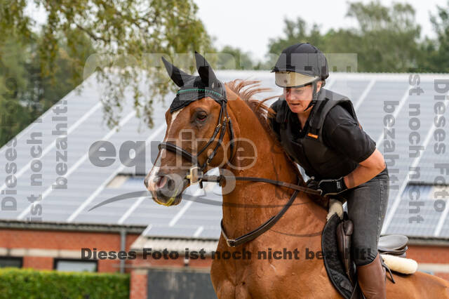 Hunter Geländetraining 10.07.2021 (Sonsbeck)