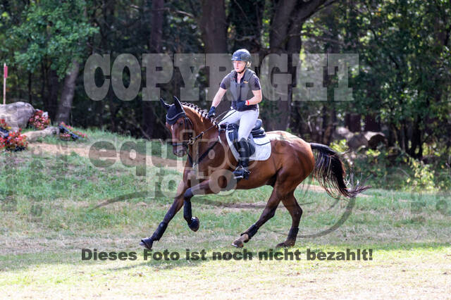 Late-Entry Vielseitigkeit Hamminkeln/Wesel (01.+02.08.2020)