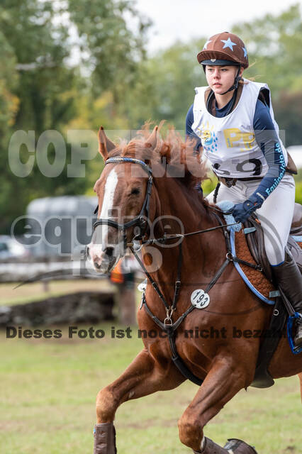 Vielseitigkeit RSV Wesel Obrighoven (26.+27.09.2020)