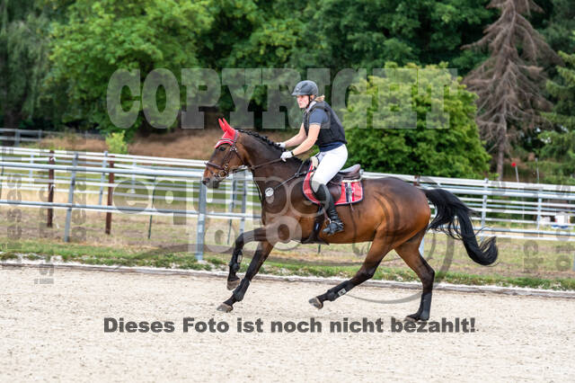 Late-Entry-Vielseitigkeit Langenfeld (11.+13./14.06.2020)