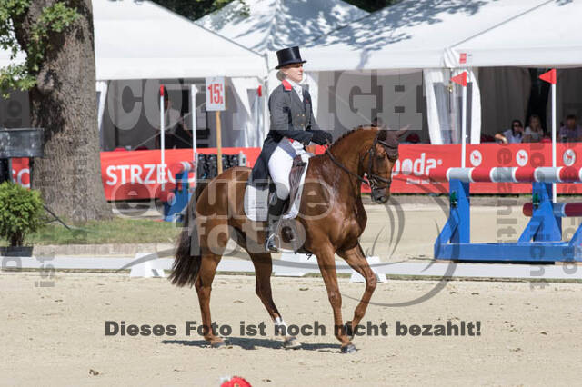 FEI European Championship Eventing 2017