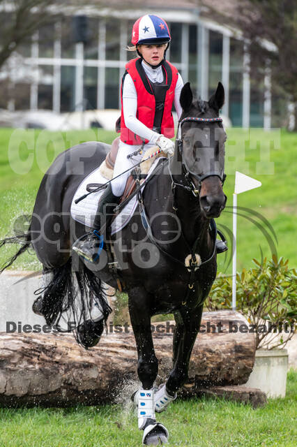 Goldene Schärpe 2020 - Pferde