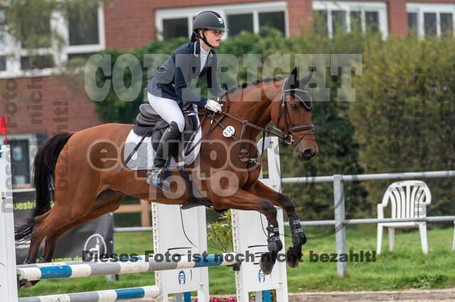 Goldene Schärpe 2020 - Pferde