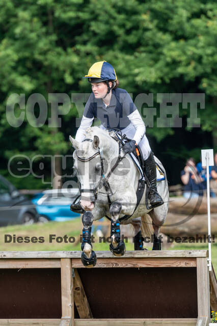 Goldene Schärpe 2021 - Ponys