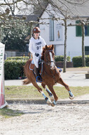 Eventing Langenfeld 2018