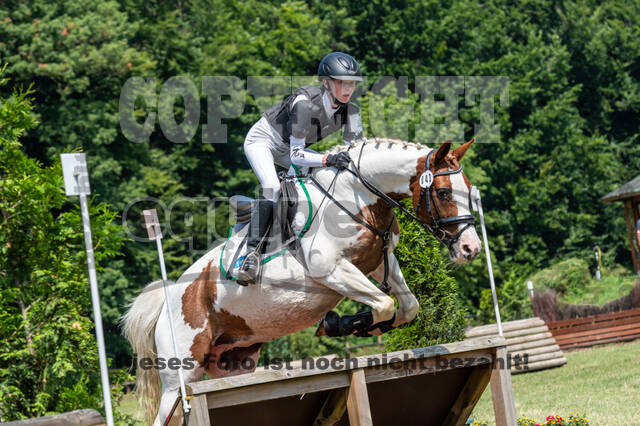 Goldene Schärpe 2021 - Ponys