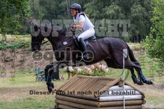 Late-Entry Vielseitigkeit Hamminkeln/Wesel (01.+02.08.2020)