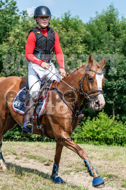 Goldene Schärpe 2021 - Ponys