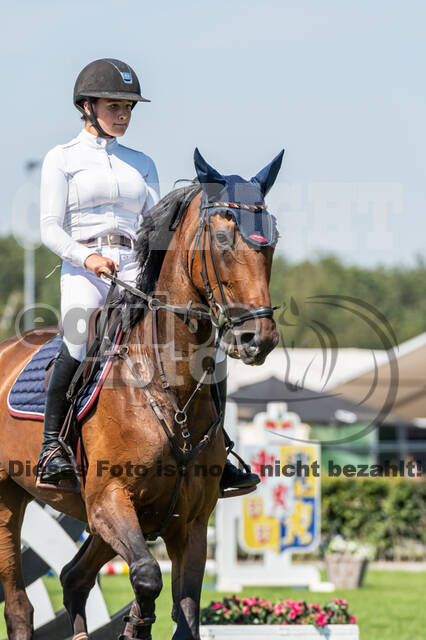Kronenberg - De Peelbergen (August 2020)