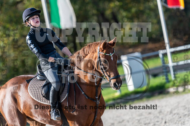 IGV Lehrgang der Sieger der Cups mit Frank Ostholt