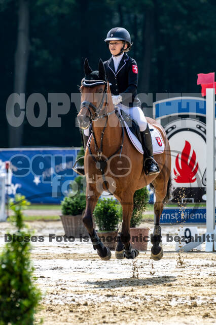Goldene Schärpe 2021 - Ponys