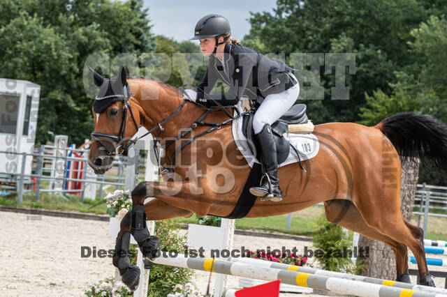 Late-Entry-Vielseitigkeit Langenfeld (06.+07.07.2020)