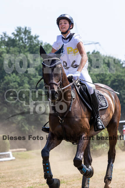 Late-Entry Vielseitigkeit Hamminkeln/Wesel (01.+02.08.2020)