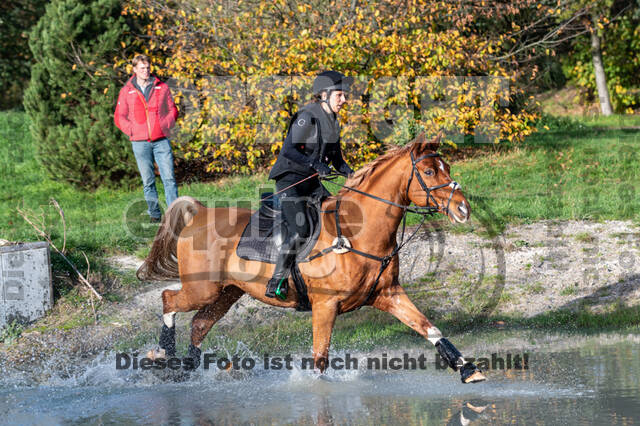 IGV Lehrgang der Sieger der Cups mit Frank Ostholt